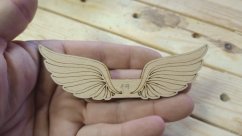 Angel wings 019