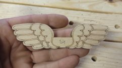 Angel wings 034
