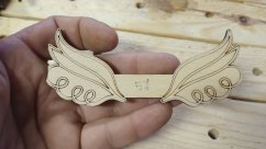 Angel wings 057