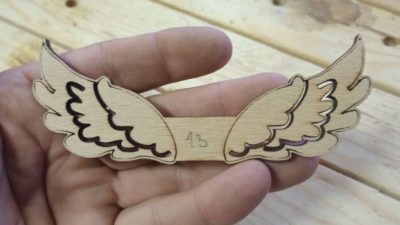 Angel wings 013