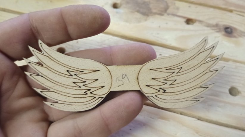Angel wings 039