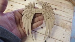 Angel wings 015
