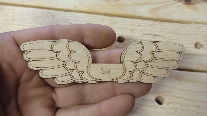 Angel wings 034