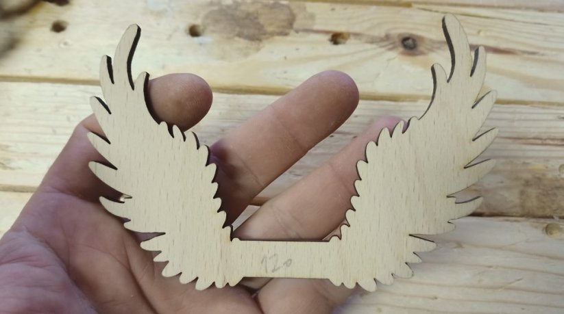 Angel wings 120