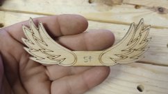 Angel wings 051