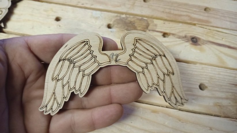 Angel wings 092