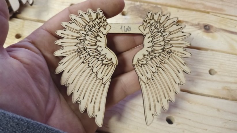 Angel wings 166