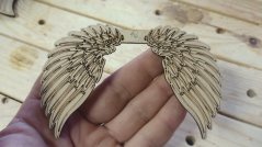 Angel wings 194