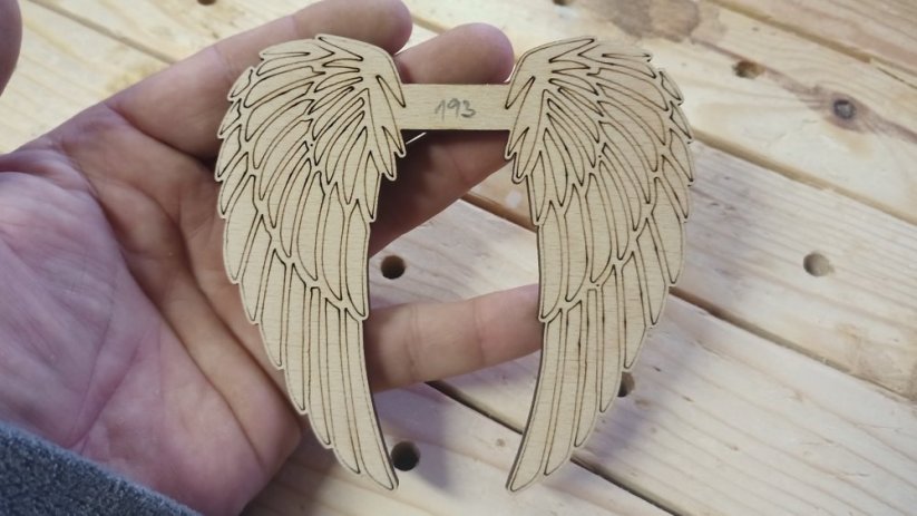 Angel wings 193