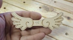 Angel wings 055
