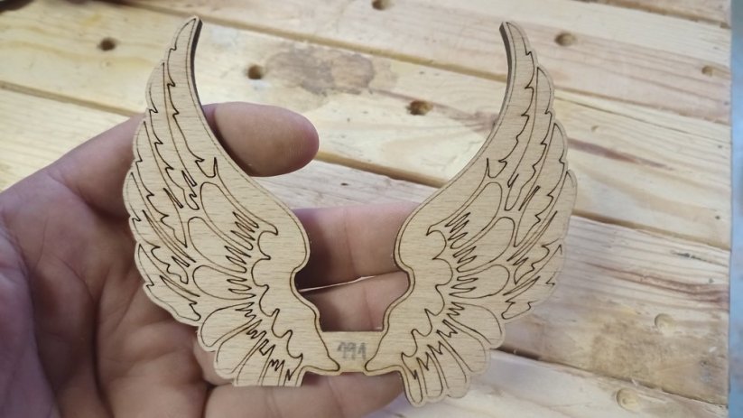 Angel wings 191