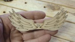 Angel wings 054
