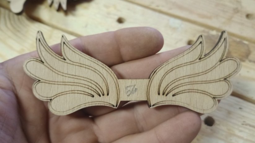 Angel wings 056