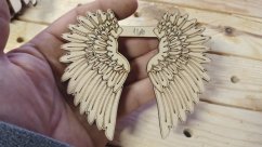 Angel wings 166