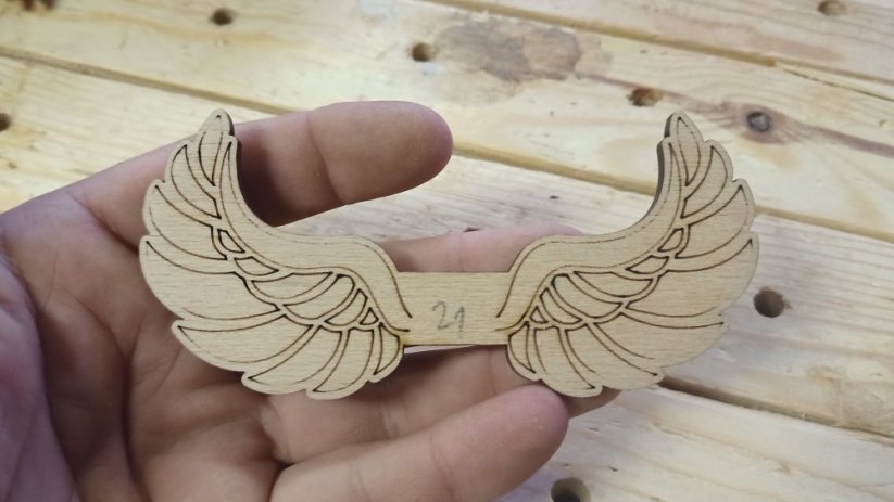 Angel wings 021