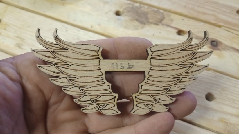 Angel wings 113b