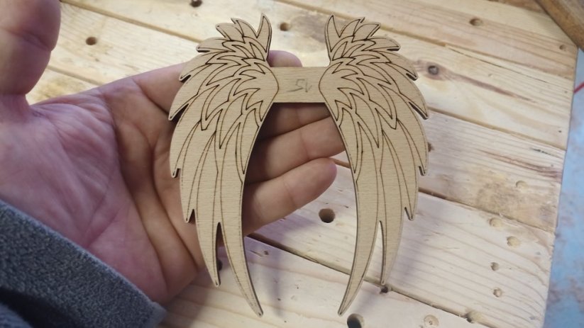 Angel wings 015