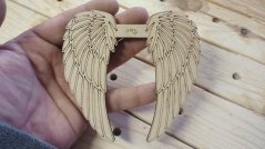 Angel wings 193