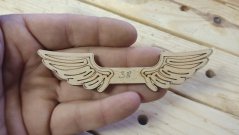 Angel wings 038