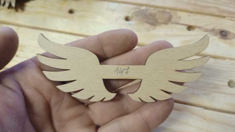 Angel wings 147