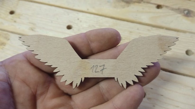 Angel wings 127