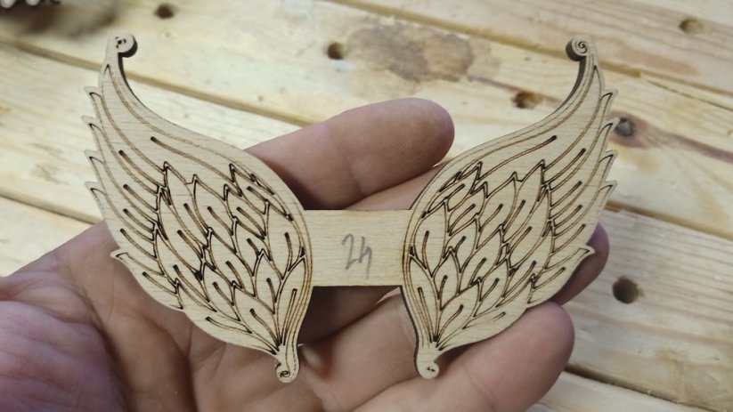 Angel wings 024