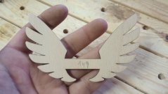 Angel wings 149